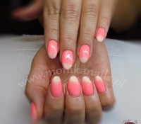 aga_shellac4_08