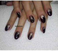 pylek_shellac_03_15